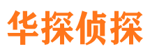 公安市侦探调查公司